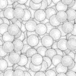 TT-Gail-C8048-White TT-Gail-C8048-White